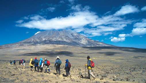 Lemosho or Machame: Which Kilimanjaro Route Fits You Best?