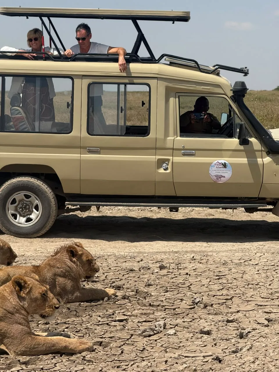 Serengeti today
