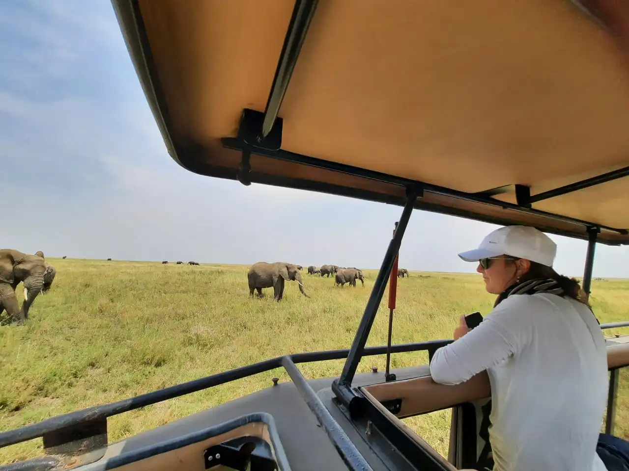 4-Day Northern Circuit Safari (Tarangire, Serengeti & Ngorongoro)