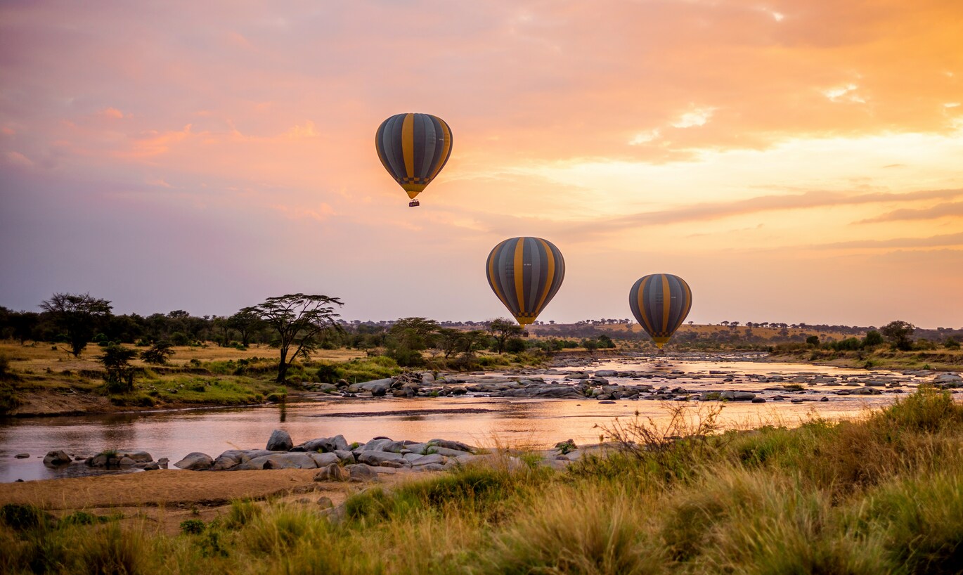 SAFARIS